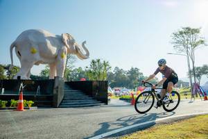 BIB: 
                            <button type="button" onclick="openModal(26182999)" class="btn btn-primary btn-sm float-right btn-popup" data-toggle="modal" data-target=".modal-high-quality">
                        <i class="fas fa-shopping-cart"></i> Add to Cart
                    </button>
                                            <button type="button" onclick="isThisMe(26182999, true)" class="btn btn-success btn-sm float-right btn-popup btn-isme hidden" data-toggle="tooltip" data-placement="bottom" title="นี่คือรูปของคุณใช่ไหม คลิกที่นี่เพื่อเอาเข้าอัลบั้ม">
                        <i class="fas fa-plus"></i> Add to album
                    </button>
                    <button type="button" onclick="isThisMe(26182999, false)" class="btn btn-warning btn-sm float-right btn-popup btn-isnotme hidden">
                        <i class="fas fa-ban"></i> Remove from album
                    </button>